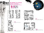 香洲半岛中国风地产画册