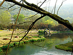 山野美景
