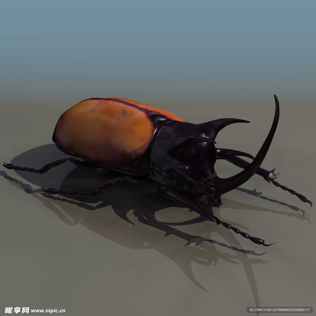 3D模型图库 动物类 屎壳螂