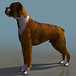 3D模型图库 动物类 狗