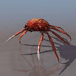 3D模型图库 动物类 海蟹