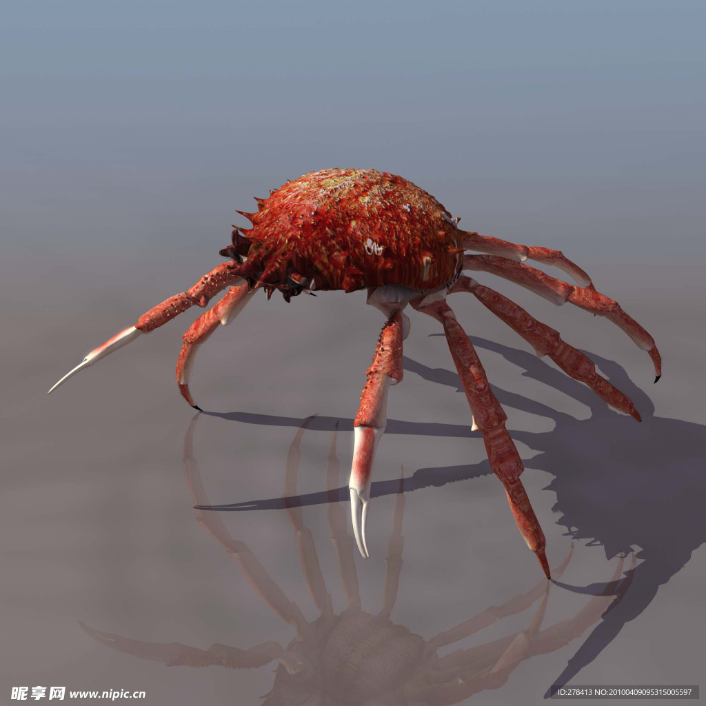 3D模型图库 动物类 海蟹