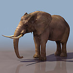 3D模型图库 动物类 大象