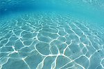 海光