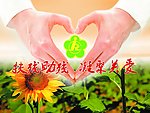 残联公益宣传刊板