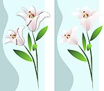 矢量花