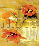花卉油画 （ 50厘米 X 60厘米 ）