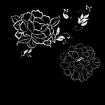 花纹
