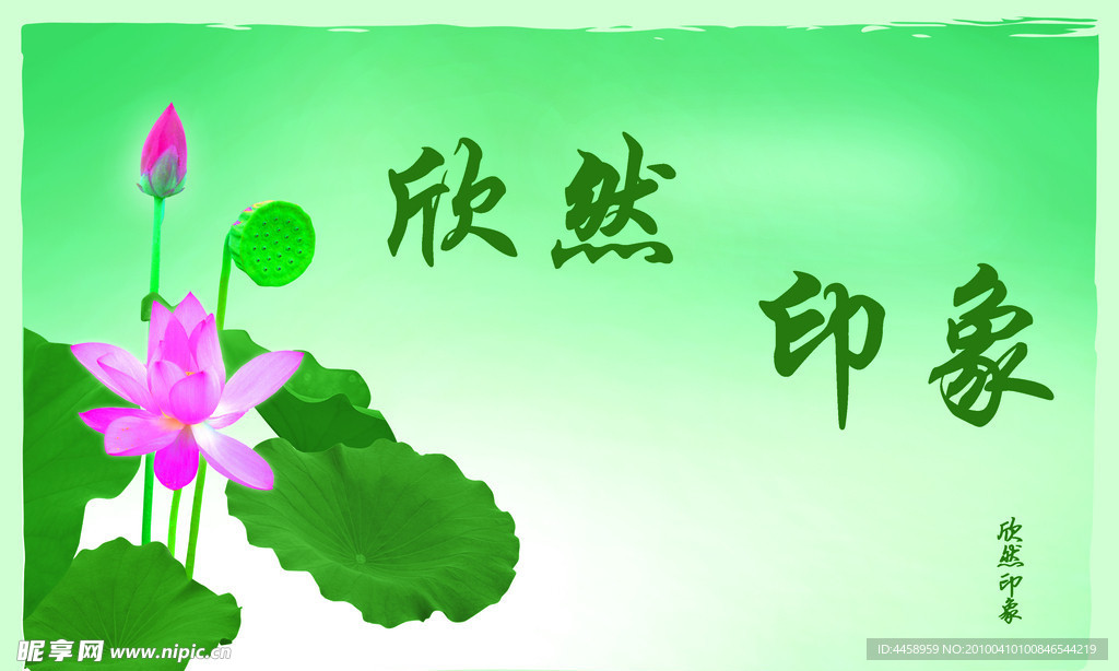 荷花