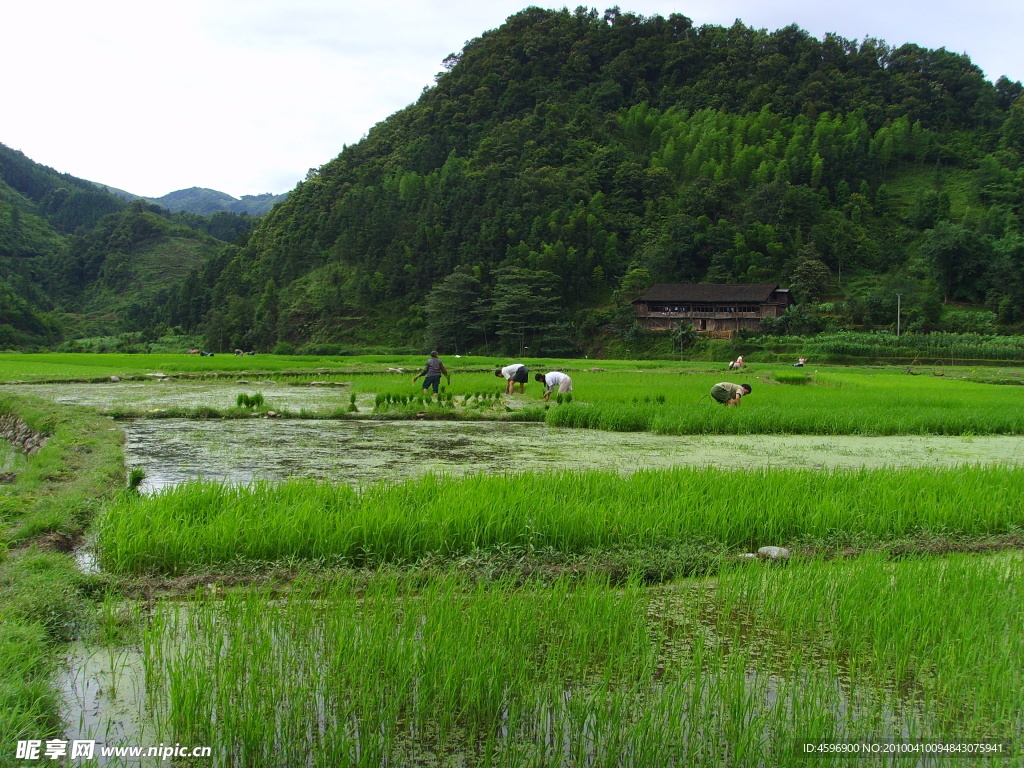 田园风景