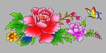 好看的花