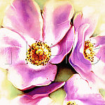 花卉油画55220 一套四幅 （ 50厘米 X 50厘米 ）