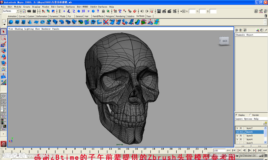 MAYA2008nurbs头骨建模