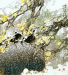 房新泉 花鸟迎春花