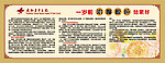 中医院老年公寓健康知识宣传栏
