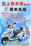 王派电动车