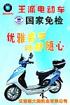 王派电动车