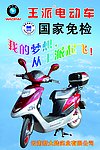 王派电动车