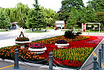 公园景色