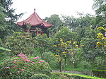 公园景色
