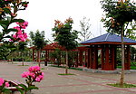 公园景色