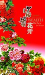 富贵花开