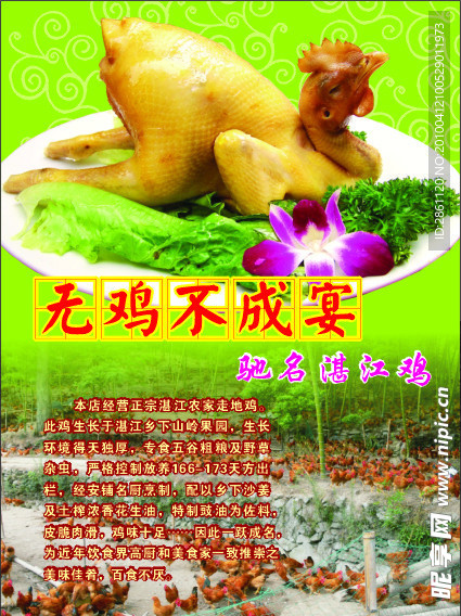 粤菜精品 湛江鸡