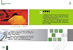 希芳阁绿化工程