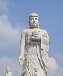 山东庆云海岛金山寺 释迦摩尼佛像