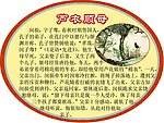 24孝展牌