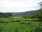 東源森林原野