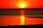 红海滩日落