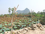 自然风景