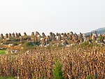 自然风景