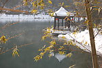 竹海雪景