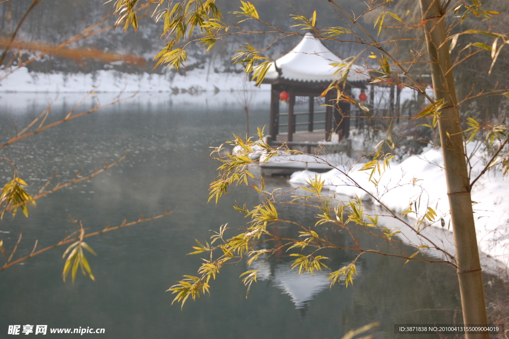 竹海雪景