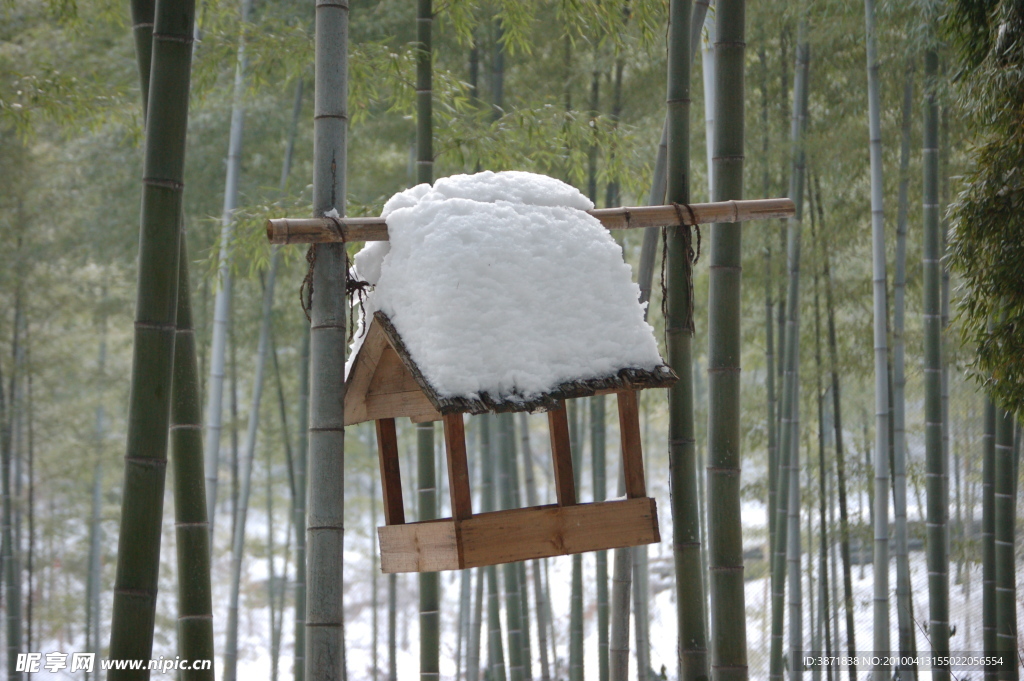 竹海雪景