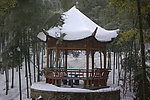 竹海雪景