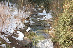 竹海雪景