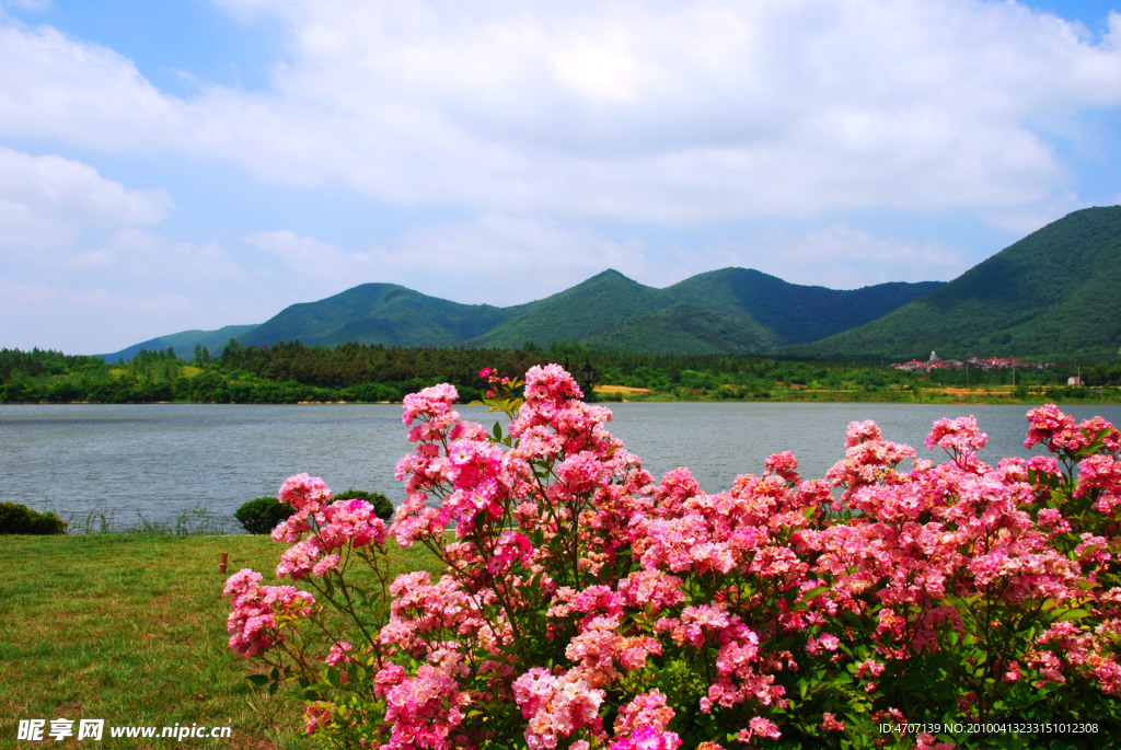 仑山湖美景