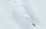 滑雪