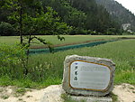九寨沟芦苇海