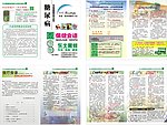 春季食谱