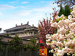 公园景色