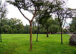公园景色