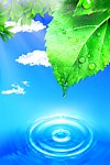 带水珠树叶 云朵 水珠