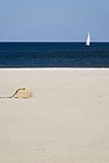 沙滩海岸帆船