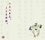 仙鹤传情