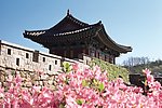 园林风景