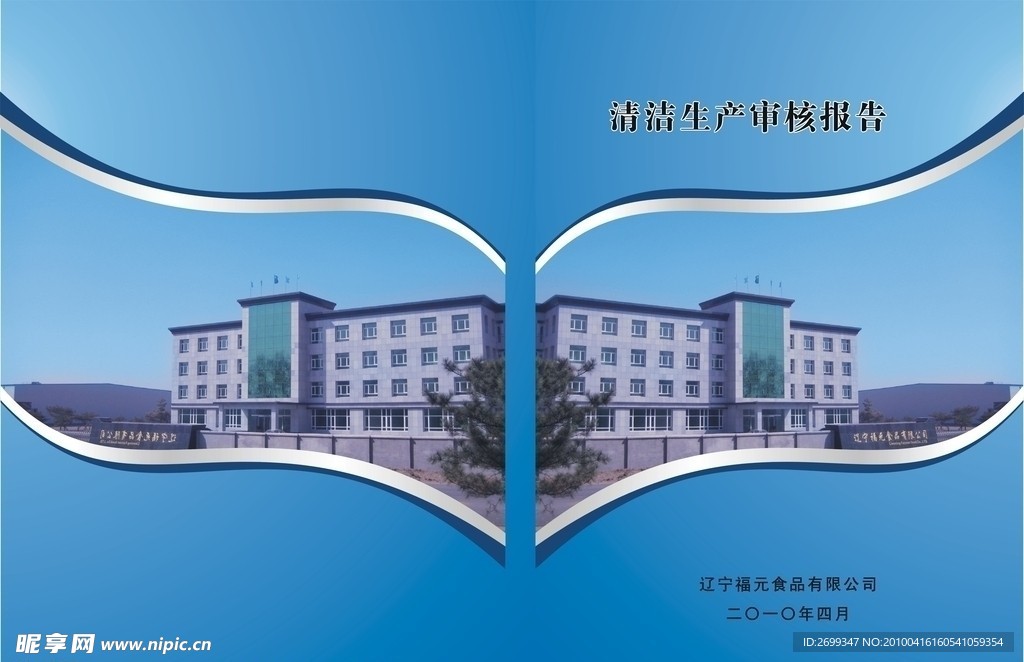 公司审核报告
